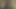 Siyah boğa esmer kızı arabadan alıyor ve ona istediğini veriyor