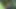 4k- Nina Rivera zenci kızla ateşli kamera arkası fotoğraf çekimi oudoors büyük götlü porno yıldızı