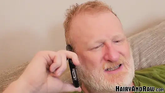 Hairyandraw sakallı avi strider olgun paslı mc mann tarafından yetiştiriliyor
