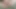 Üvey kız kardeşin yapay penisle sikiştiği gizli video