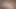 My Hot Stepmom Wants Me To Cum Inside Her Big Hairy Pussy, When Dad's Not Home
