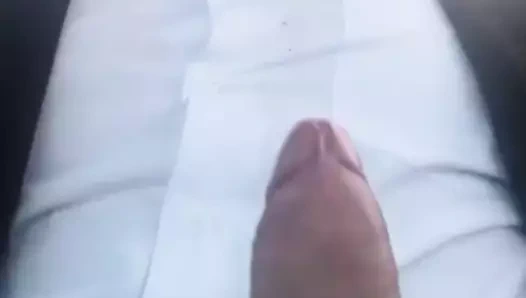 Büyük yaraklı yarak