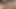 Üvey kız kardeşimle porno izliyorum. Amına dokunmama izin verdi. Sonra ne oldu?