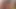 Misterfake saf sıkı kedi teste tabi tutulur