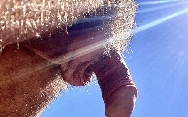 Çalişmada Her Şeyin Düzenli Olup Olmadığını Kontrol Etmek.