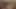 Nine rahibe Mary Carmen: gırtlağına kadar yarak emiş kasığım 6 24 2024 CAMS123456M