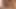 Domme drussilla baskın handjob teaser