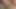 Blonde mit Dicken Titten