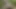 Çaresiz kadın tepeden çeşme yapar