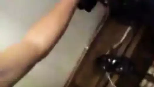 piliç seviyor benim horoz