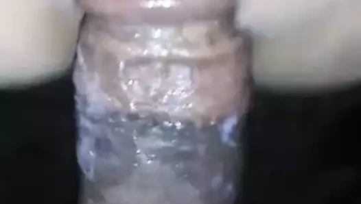 Anneanne kremsi şişman kedi