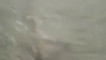 Mi padre siguiendo a una Nalgona en la calle