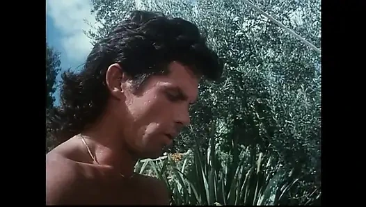 Kariyer Sürtükleri