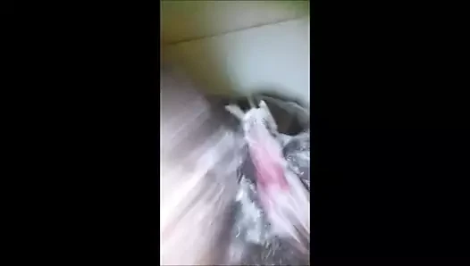 siyah piliç sürtme onu KEDİ üzerinde bir anda yoğun ilgi gören