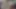 Hint amma sallanan üzerinde the horoz