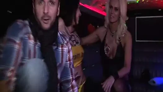 Limuzin kızlar ve majka