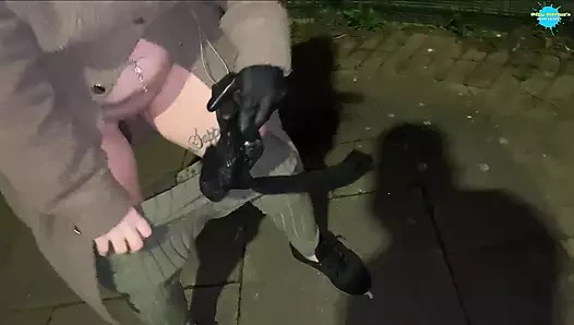 Çılgın kedi onun nesneleri olduğunu unutur