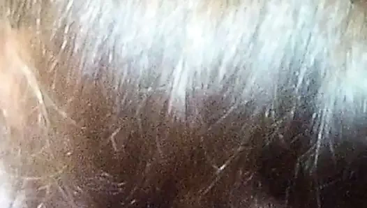 domuzlardan akşam oral seks