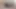Sürtük xxx video külotlu çoraplı Suriyeli orta yaşlı seksi kadın sızdıran amcığını parmaklıyor