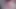 Ch33s3p0l1c30 cumshow (2019.10.07)