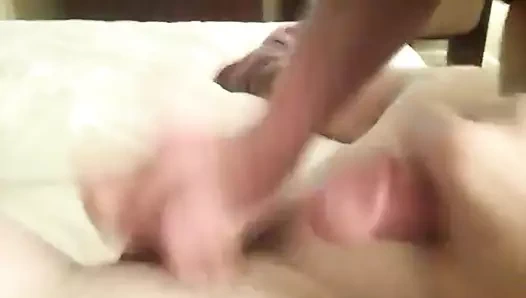 bizim horoz karşılaştırma