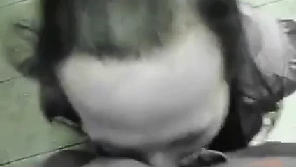 maksimum kullanılan itaatkar gf