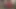 Doğum gününde götüne büyük bir yarak hediye ettim.4k hd tim ekibi