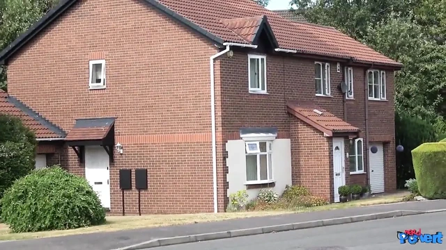 Devon Breeze - 4 inek ve bir sürtük