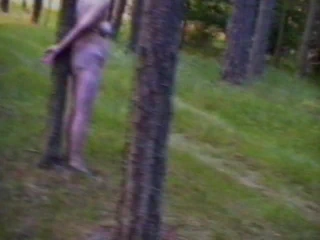 maggie içinde orman esaret