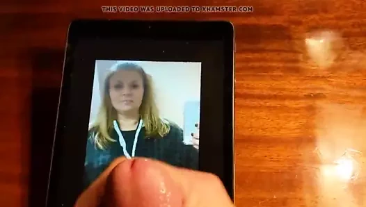 Succhia döl sürtüğü