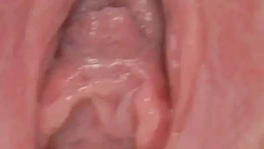 Şaşkın kedi esneme