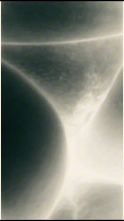 Kasık kıllarının detaylarıyla şeffaf seks.