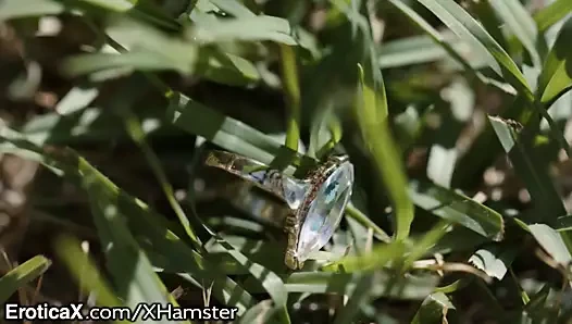 Eroticax hile erkek arkadaş tutku kahrolası ona en iyi arkadaş