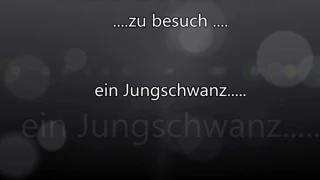 Jungschwanz zu Besuch!