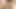 Johntronx - küçük memeli ateşli Asyalı amatörler seksi çok seviyor