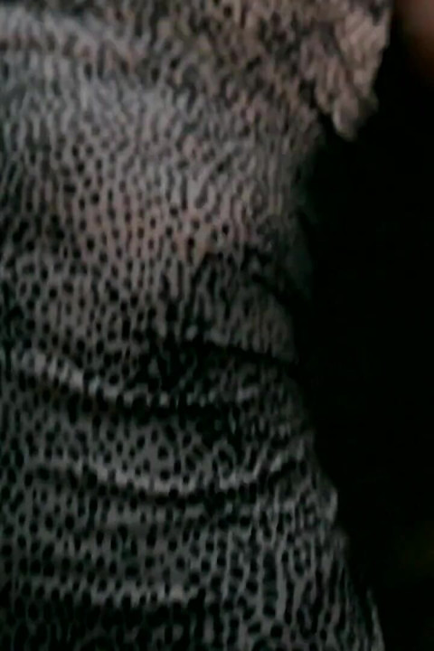 Sakat