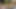 Sürtük kızlar öpüştükten sonra dildoyla sert sikişin tadını çıkarıyor