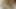 amatör sürtük ev yapımı porno 198