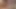 Seksi austin everett ve sevimli brandon wilde üçlü seks