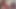 Seksi Asyalı kız büyük yarakları seviyor
