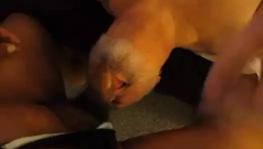 Dom, pudenda vurma yerine kedi boğazını seçer.