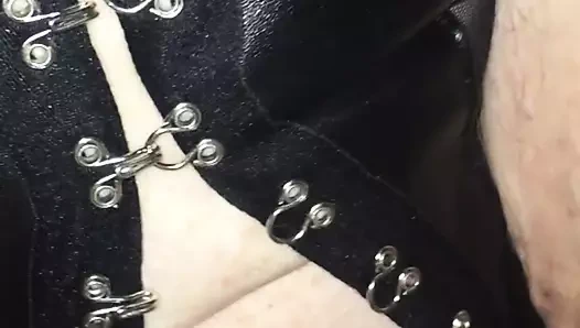 İngiliz gf kel kedi