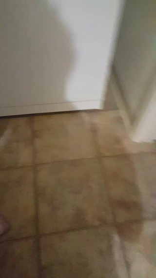 Utangaç bbw arkadaş dev göğüsler ve göbek