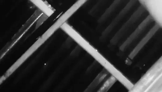 Domaltmayı sevdiğine inanamayacaksınız