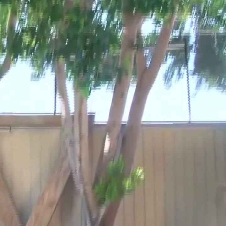 Tüylü Erkeklik Adam Girdi