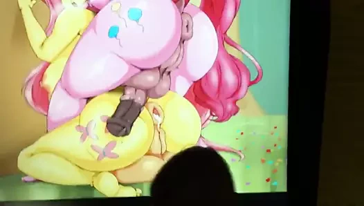 Mlp sop: fluttershy ve serçe turta