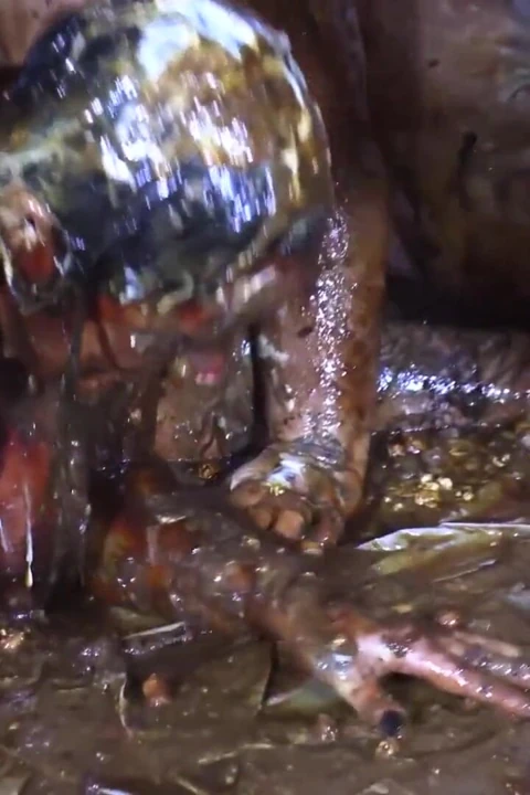4 kız yemek fışkırıyor