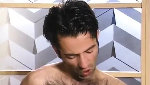 Familien-schweine (1990)