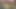 Seksi minyon Capri Anderson o kadar mutlu ki hepinizi kendi kendine yaşatıyor!