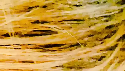 Step bro licks and fingers my pussy